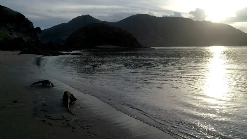 Komodo National Park