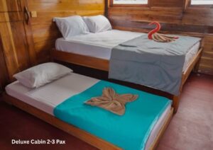 Deluxe Cabin (2–3 Pax – Upper Deck)