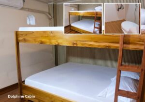 Dolphin Cabin (Lower Deck)