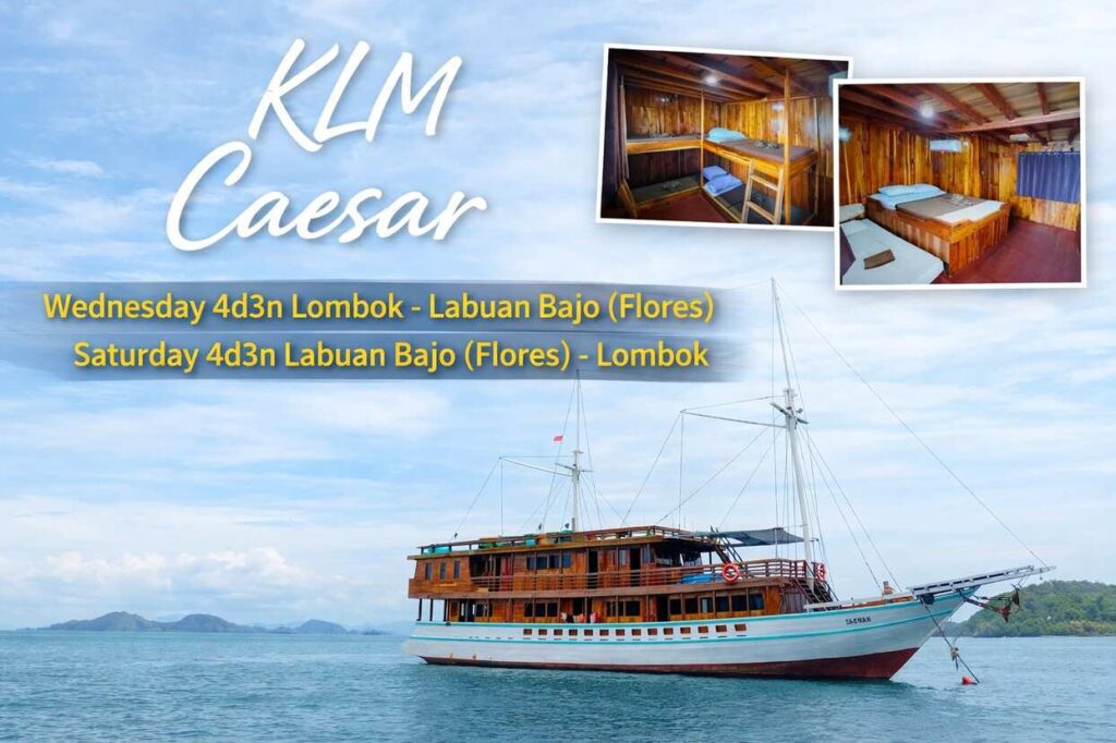 KLM Caesar – 4 Days 3 Nights Komodo Luxury Liveaboard
