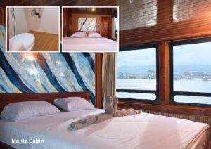 Manta Cabin (Main Deck)