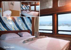 Turtle Cabin (Main Deck)