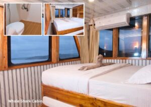 Whaleshark Cabin (Upper Deck)
